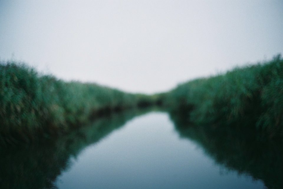 湿原でのカヌー体験