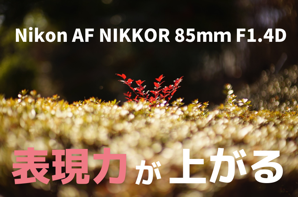 Nikon AF NIKKOR 85mｍ F1.4D
