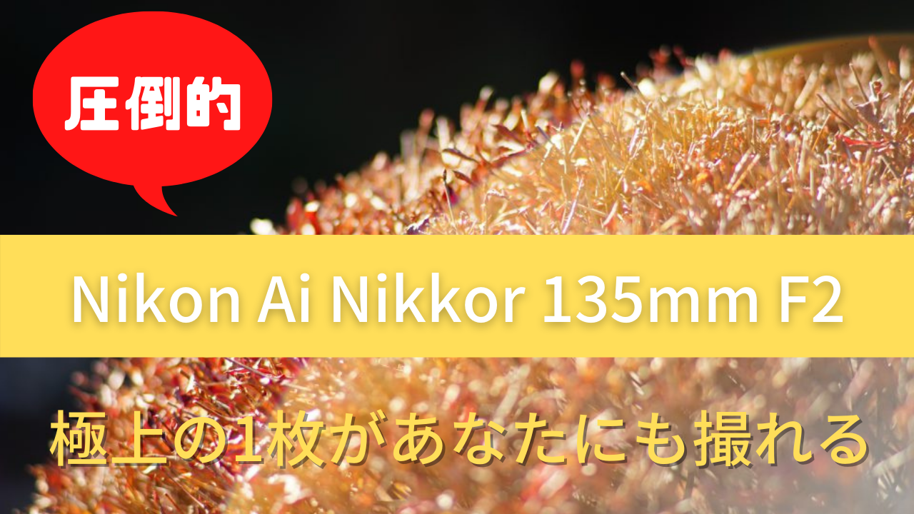 Nikon Ai Nikkor 135mm F2