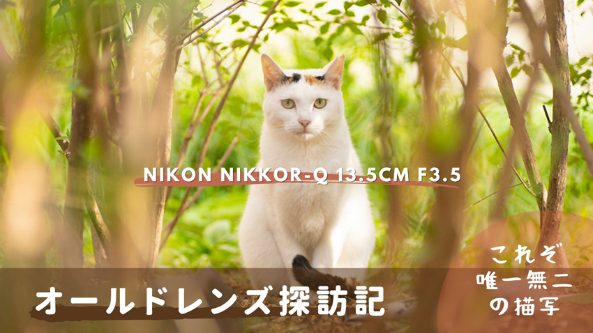 唯一無二の描写 Nikon Nikkor-Q 13.5cm F3.5 作例・解説【オールドレンズ探訪記】